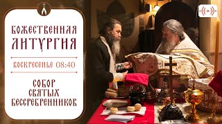 БОЖЕСТВЕННАЯ ЛИТУРГИЯ Трансляция 17 ноября воскресенье в 0840 [upl. by Namwen]