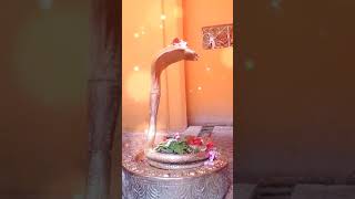 Sanand Manand Vane Vasantam Kashi Vishvanath  Shiv Mantra mahadev bholenath shiv viralvideo [upl. by Ashleigh]