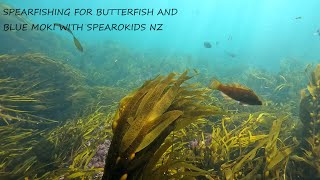 Spearfishing Moeraki area nz with Spearokids 2023 [upl. by Akener583]