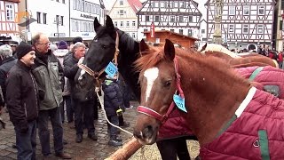 324 Leonberger Pferdemarkt  ausführlicher Bericht  10022015 [upl. by Cia]