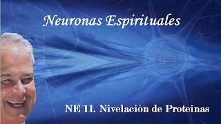 NE 11 Nivelación de Proteínas con EDUARDO SALAZAR AutorMentor Neuronas Espirituales NEs [upl. by Kubiak63]