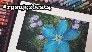 Rysujemy niezapominajkę pastelami olejnymi  Oil pastels speed drawing [upl. by Enak]