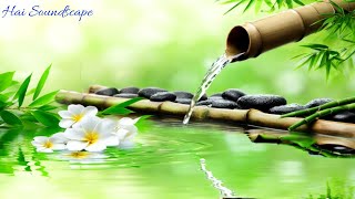 Relaxing Piano Music with Bamboo Water Fountain  Sleep Music amp Meditation Sounds [upl. by Georgetta]