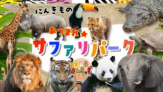 【子供向け 動物園アニメ】サファリパークへ行こう！ライオン チーター パンダなど人気の動物が20種類も大集合★ 動く動物図鑑で動物の名前を覚えよう◎ 【子供が喜ぶ 動物の知育動画】 [upl. by Lodge148]