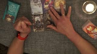 Tarot Byk Luty 2024 roku Tarot Thelema [upl. by Adam]