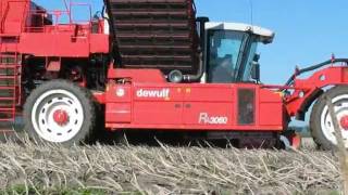 Dewulf RA3060 potato harvester [upl. by Ragde]