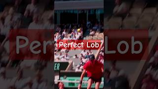 Perfect lob Sinner  Alcaraz tennis sports highlights shorts [upl. by Py]