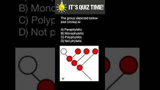 Monophyletic Paraphyletic Polyphyletic groups [upl. by Avera]