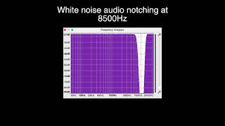 Audio Notched White Noise Sampler in the Treatment for Tinnitus 1000 Hz to 10000 Hz [upl. by Tnilc]