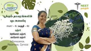 Morphology of Flowering plants  Part 6  Inflorescence  Racemose  Cymose  NEET Tamil  Biology [upl. by Conney]