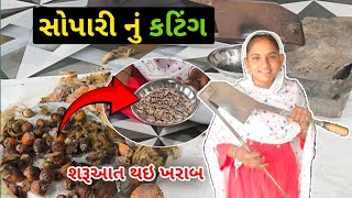 આજે કર્યું સોપારી નું કટિંગ ✨ એમાં પણ 😔Gujarati vlog  vlog [upl. by Cate]