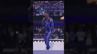 Snoop Dogg Halftime crip walk [upl. by Tamas496]