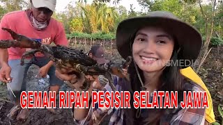 FULL GEMAH RIPAH PESISIR SELATAN JAWA  JEJAK PETUALANG 260624 [upl. by Latonia]