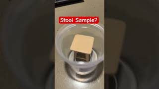 Stool Sample lol [upl. by Sorips]