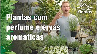 Plantas perfumadas  Ervas aromáticas [upl. by Desirea764]