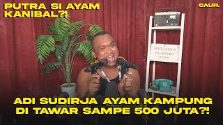 ADI SUDIRJA HARGA AYAM KAMPUNG LEBIH MAHAL DARI AYAM KAMPUS  CAUR [upl. by Avek379]