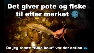 Spin og flue tur 3  1 til fluen ðŸ«£ HavÃ¸rred Fiskeri ðŸŽ£ [upl. by Acirretahs567]