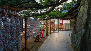 Walking from Hilltop to Onomichi Waterfront at Sunset  Hiroshima Japan 4K [upl. by Jeane7]