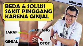 TIPS CARA MEREDAKAN SAKIT PINGGANG KARENA GINJAL  DOKTER SADDAM ISMAIL [upl. by Luapnhoj]