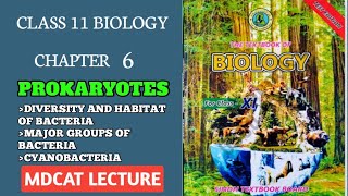 DIVERSITY IN BACTERIA AND HABITAT  GROUPS OF BACTERIA CYANOBACTERIA CLASS 11 NEW BIO SINDH [upl. by Lednyc566]