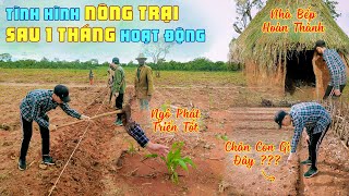 Nông Trại Sau 1 Tháng Đi Vào Hoạt Động Đã Có Những Biến Đổi Gì [upl. by Ahsatan]