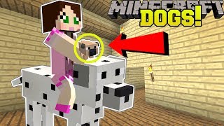 Minecraft TOO MANY DOGS 39 EPIC TYPES OF DOGS Mod Showcase [upl. by Yusem902]