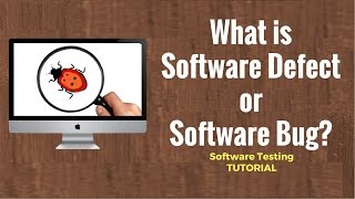 What is Software Defect or Software Bug Software Testing Tutorial 22 [upl. by Riordan]