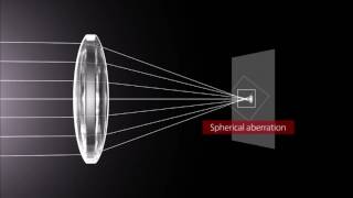 How Lenses Function [upl. by Tuttle]