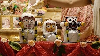 Snana Yatra  Lord Jagannathas Bathing Festival at ISKCON Boston June 29 2014 [upl. by Anse]