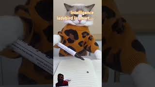 Ladybird insects intelligence viral shorts [upl. by Koller]