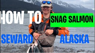 How to Snag Salmon Seward Alaska Setup DIY [upl. by Mullac804]