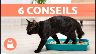 Comment APPRENDRE à un CHAT à FAIRE SES BESOINS DANS LA LITIÈRE 🐱✅ Chatons et Adultes [upl. by Ahsuatal426]