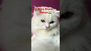 mera Bharat mahan 🇮🇳subscribe [upl. by Melamie680]