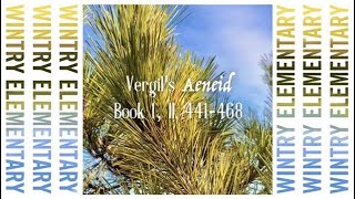 Wintry Elementary  Vergils Aeneid Book 1 ll 441468 [upl. by Hime]