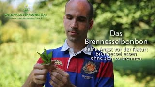 Brennessel ja – aber bitte ohne brennen [upl. by Cini818]