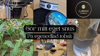 Del 4 Gör mitt eget snus på egenodlad tobak i en tryckkokare  multicocker från Jula [upl. by Donella]