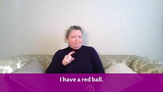 Lesson 3  British Sign Language for colours Scotland [upl. by Chong]