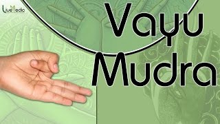 How To Do Vayu Mudra   Hand Gesture  Learn Yoga Simple amp Easy Steps  Live Vedic [upl. by Jarid903]