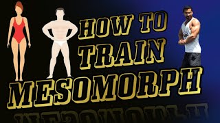 How To Train Mesomorph [upl. by Yvan]