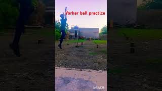 Yorker ball practice subscribe please my YouTube channel 🙏 cricket yorkers yorker cricketlover [upl. by Kristal643]