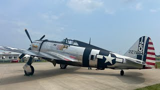 Warbird walk around Republic P47D “Razorback” [upl. by Martainn]