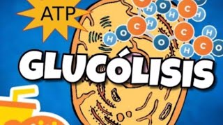 🔬GLUCÓLISIS RESPIRACIÓN CELULAR aprende lo más importante en 5 minutosGUIA EXAMEN UNAM BIOLOGIA [upl. by Lusar]