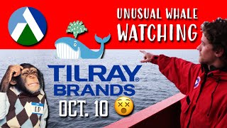 Tilray Brands Unusual Activity for October 10 After Earnings [upl. by Ennairda]