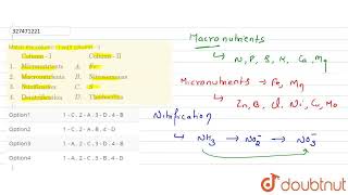 Match the column  I with column  IIColumn  IColumn  II1 MicronutrientsAFe2 [upl. by Nylrebmik31]