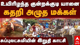 Elephant Subbulakshmi  உயிரிழந்த குன்றக்குடி யானை கதறி அழுத மக்கள் சுப்புலட்சுமியின் இறுதி காட்சி [upl. by Hola]