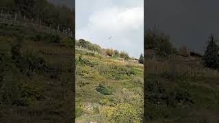 Parapendio a Pomaretto Val Germanasca 🦉⛰️🍇👀 [upl. by Andonis]