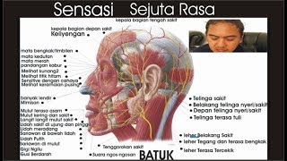 GERD Sensasi Sejuta Rasa Part 1 [upl. by Hofmann51]