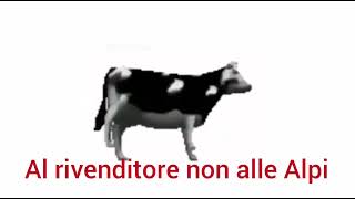 polish cowmucca polacca traduzione in italiano [upl. by Thorr122]