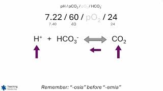 ABGs Made Easy Step 6 [upl. by Rollin]