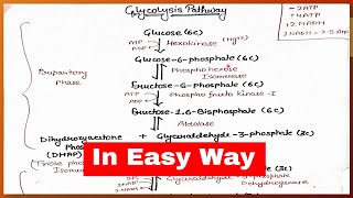 Glycolysis Pathway in Easy Way  Metabolism of Carbohydrates  Biochemistry [upl. by Zigrang132]